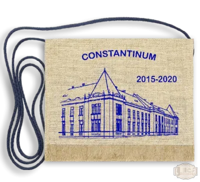 Vászon festett Ballagási tarisznya egyedi iskola épület rajzzal - Constantinum - Kiskunfélegyháza