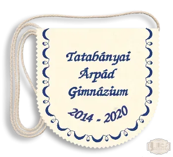 Ballagási tarisznya, filc alapon Iskolanévvel hímezve, évszámpárral - pamut zsinórral