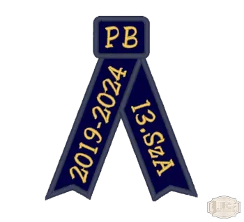 Bársony arany fémszállal hímzett avatószalag BH-0019