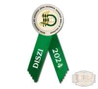 Avatószalag jelvénnyel Damjanich János Technikum