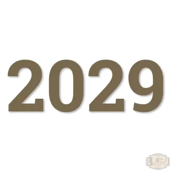 2029