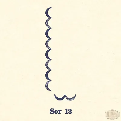 Sor 13